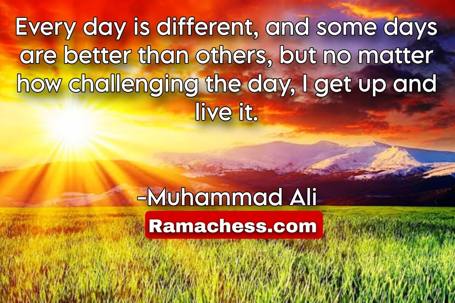 Every day is different, and some days are better than others, but no matter how challenging the day, I get up and live it. -Muhammad Ali