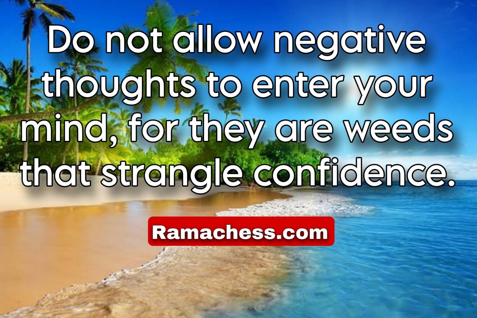 Do not allow negative thoughts to enter your mind, for they are weeds that strangle confidence.