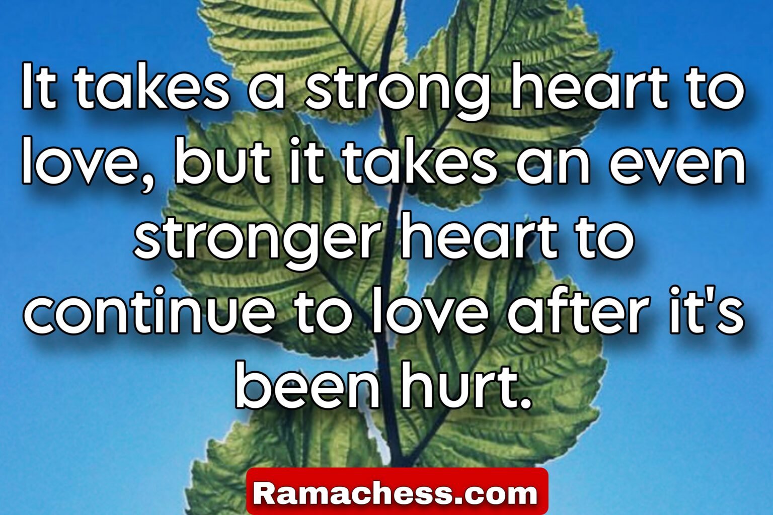 It takes a strong heart to love, but it takes an even stronger heart to continue to love after it's been hurt.