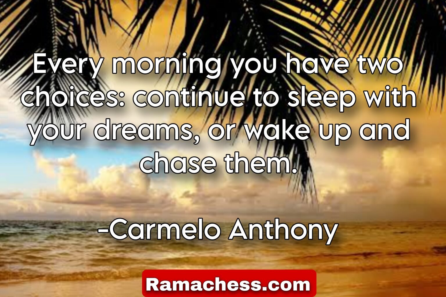 Every morning you have two choices: continue to sleep with your dreams, or wake up and chase them. -Carmelo Anthony