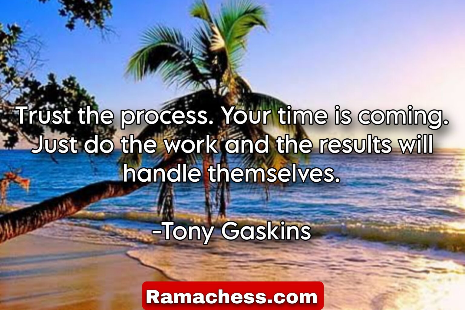 Trust the process. Your time is coming. Just do the work and the results will handle themselves. -Tony Gaskins