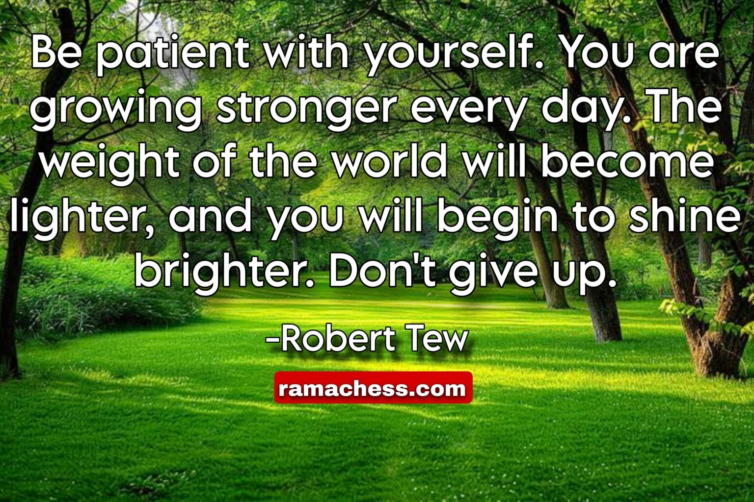 Be patient with yourself. You are growing stronger every day. The weight of the world will become lighter, and you will begin to shine brighter. Don't give up. -Robert Tew