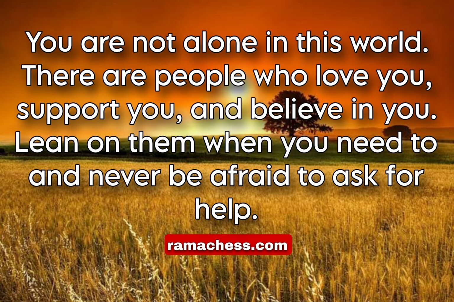 You are not alone in this world. There are people who love you, support you, and believe in you. Lean on them when you need to and never be afraid to ask for help.