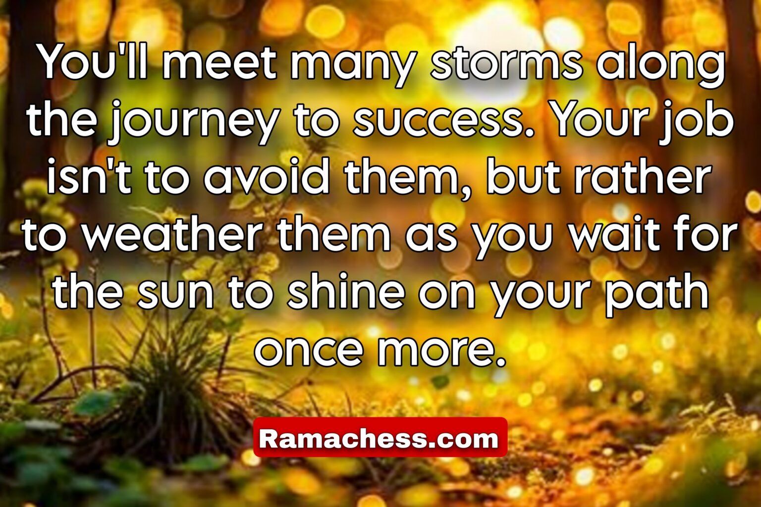 You'll meet many storms along the journey to success. Your job isn't to avoid them, but rather to weather them as you wait for the sun to shine on your path once more.